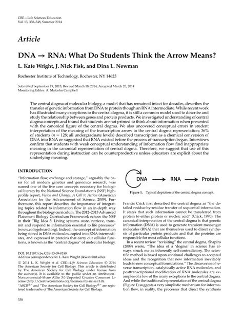 Student exploration rna and protein synthesis answer key activity b. Student Exploration Rna And Protein Synthesis Answer Key Activity B / Http Mrswhittsweb Pbworks ...