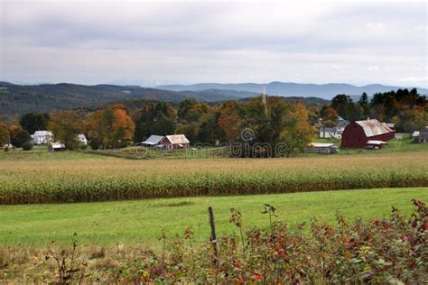 Fall Foliage At Vermont Usa Stock Image Image Of Colors Countryside