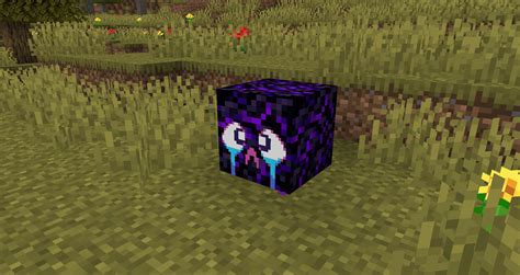 Crying obsidian has no function. Crying Obsidian : Minecraft