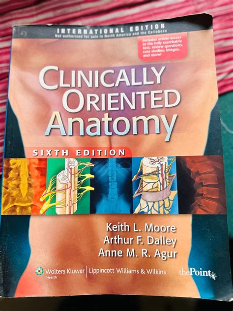 Clinical Oriented Anatomy 6th Edition On Carousell
