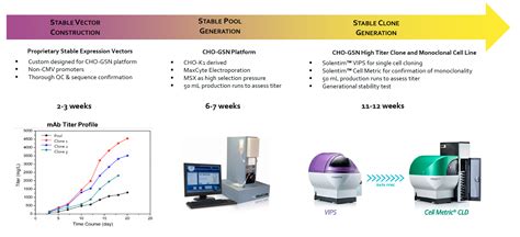 Cho Stable Cell Line Development Curia Global