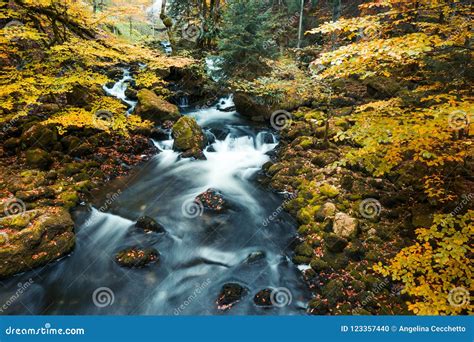 River Flowing Through Mossy Rocks In Park Forest With Autumn Fol Stock