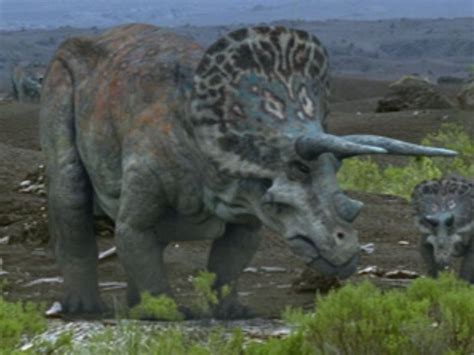 Triceratops Lived In North America In The Late Creatacous From 75