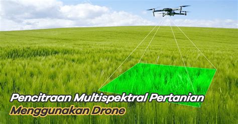 Drone Manfaat Pencitraan Multispektral Dalam Pertanian