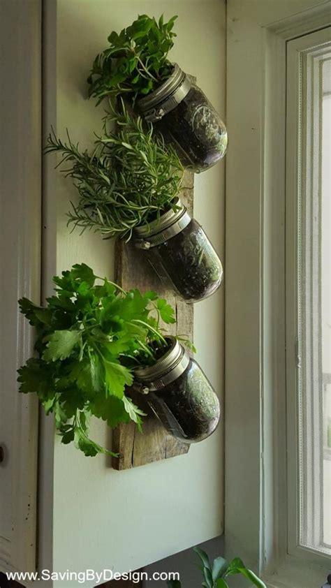 How To Make An Indoor Wall Mounted Herb Garden To Enjoy Fresh Herbs