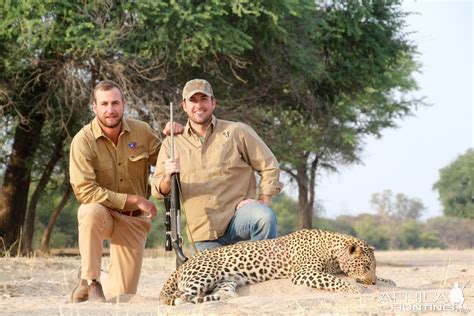 Hunt Leopard In Namibia