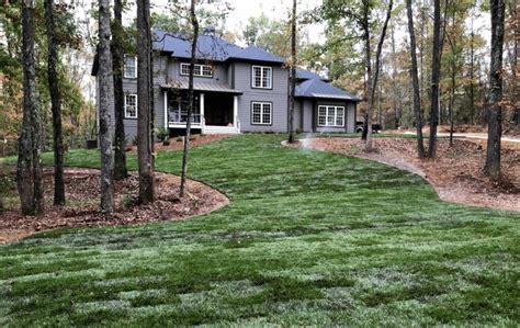 Does Tall Fescue Grass Stay Green In Winter A Comprehensive Guide