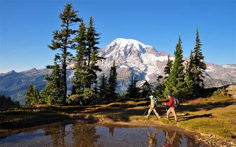 Mount Rainier National Park Washington State Explorer Sue Your Pacific Northwest Travel Guide