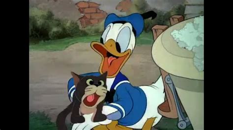 50 X Donald Duck Cartoons Over 6 Hours Non Stop Best Insurance Info