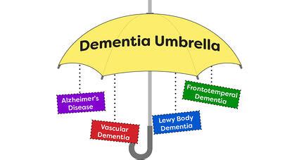 Basics of Dementia: Types, Signs & Symptoms