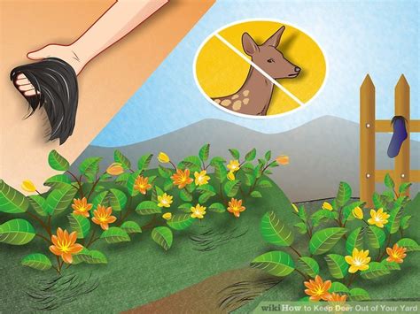 What to put around flowers to keep deer away. 7 Ways to Keep Deer Out of Your Yard - wikiHow