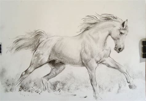 Running Horse Charcoal By Loumizhu On Deviantart Horse Drawings