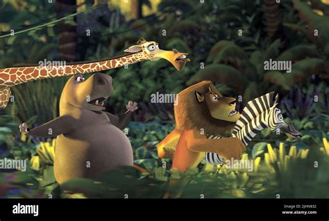 Gloria The Hippo Melman The Giraffe Alex The Lion Marty The Zebra Madagascar 2005 Stock