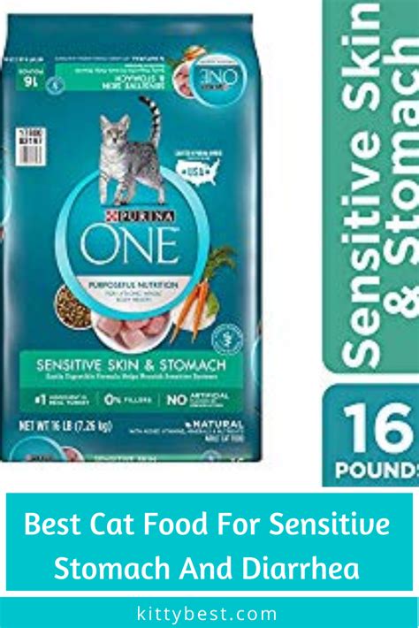 Best Cat Food For Sensitive Stomach And Diarrhea Reviews And Complete