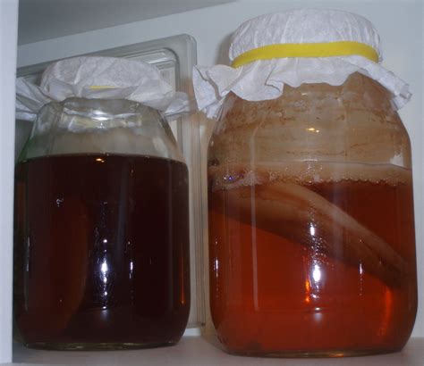 q how do you know when your kombucha is ready to drink ready to bottle or if it s done