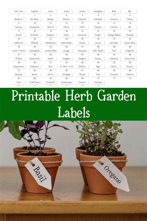 Herb Garden Labels Printable Fun Whimsical Font Unique Etsy