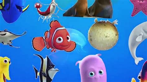 Learn Sea Animals And Water Animals Names And Sound Real Ocean Sound