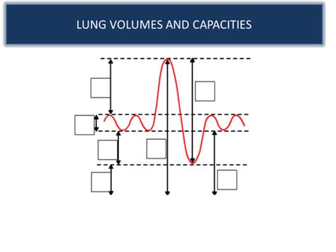 If you are the one who gets all volume and capacities mixed up, this article will help you clear the concept. Lung volumes and capacities - interpreting a spirometer ...