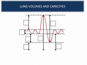 Lung Volumes And Capacities Interpreting A Spirometer Trace Gcse Pe