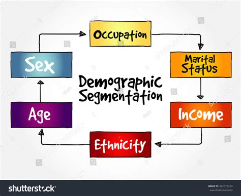 Demographic Segmentation Mind Map Flowchart Social Stock Vector