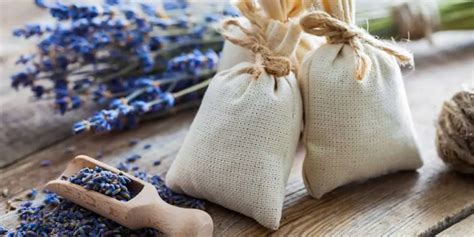 The Benefits Of Herb Bags For Cooking Cullys Kitchen