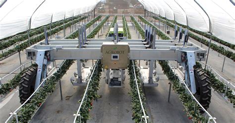 Agrobot From Strawberries To Apples A Wave Of Agriculture Robotics
