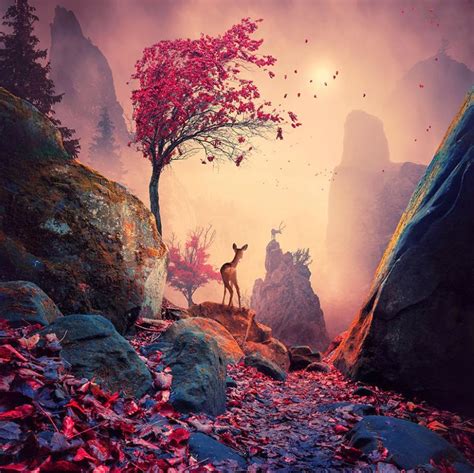 World Of Dreams Photography By Caras Ionut Best Photography Art