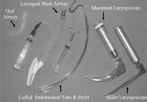 Oral Airway Laryngeal Mask Airway Endotracheal Tube And