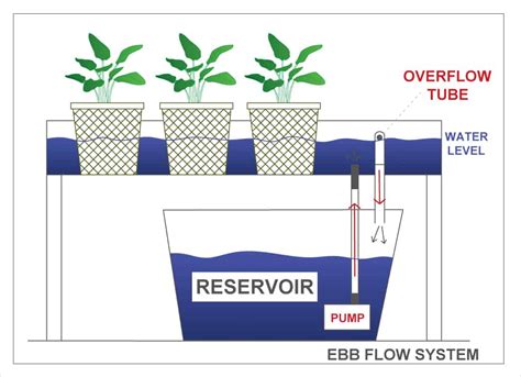 diy ebb and flow hydroponic system {step by step with pictures}