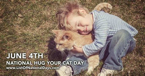 Alas, this already impressive list includes one more hateful thing which is a… physical contact. NATIONAL HUG YOUR CAT DAY - List Of National Days