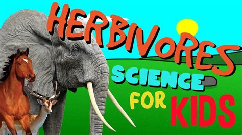 What Is A Herbivore Science For Kids Youtube
