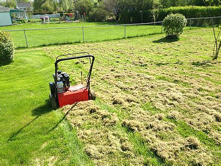 Depending on the level of thatch buildup in your lawn, you can run the dethatcher over individual strips of the lawn once or twice. Lawn Dethatching - Johns Home and Yard Services St. Catharines