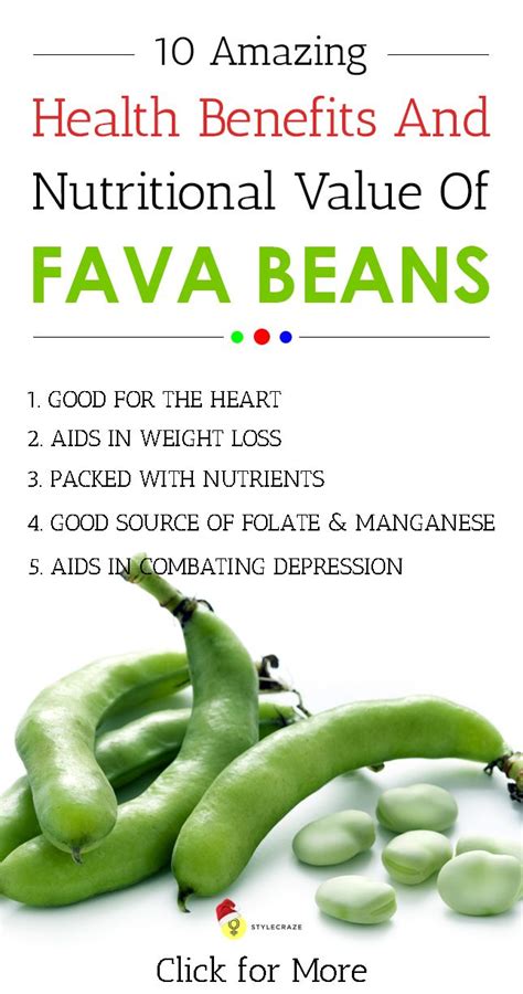 the 6 powerful benefits of fava beans an incredible recipe with images beans benefits