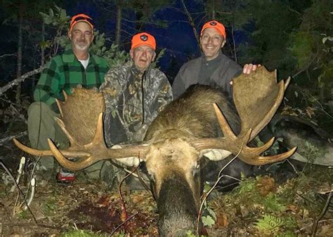 Guided Moose Hunting Trips In Maine Wmd 1 2 3 4 And 5 Allagash