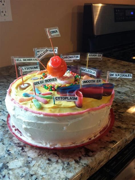 Animal Cell Project Animal Cell Edible Cell Project