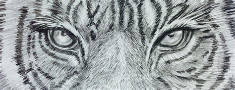 Tiger Eye Drawing By Hae Kim Pixels