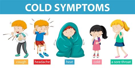 Free Vector Medical Infographic Of Cold Symptoms