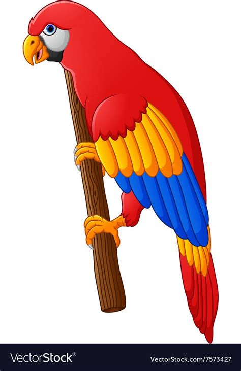 Cute Parrot Cartoon Posing Vector Image On Vectorstock Parrot Cartoon