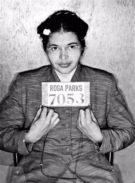 Rosa Parks Mug Shot Mugshot Tee Tees T S Painting By Tony Rubino Artmajeur