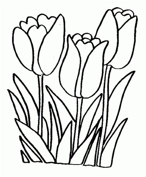80 printable spring coloring pages for kids. Spring Flower Coloring Page | Printable flower coloring ...