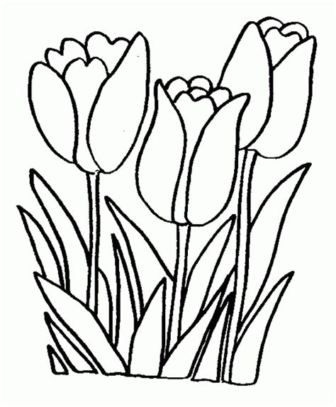 Includes zentangles, animals, intricate designs, and more. Pin on canvas art