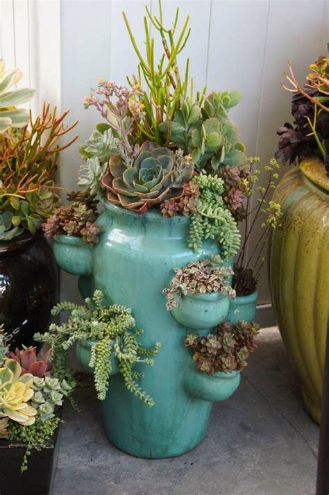 10 Large Succulent Planter Ideas Decoomo