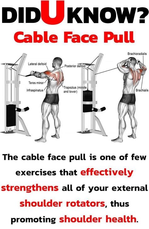 Don't allow the shoulders to roll forward when performing this exercise. Did you know cable face pull? | Shoulder workout, Exercise ...