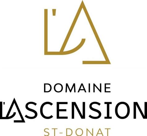 Domaineascensionlogocouleur Groupe Socam