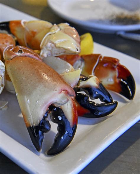 Colossal Stone Crabs Fresh Florida Stone Crab Claws Order Online