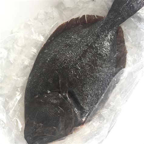 Flounder Whole Fresh Fish 2 Pack Cleaned And Descaled The Shrimp Net