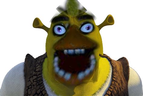 Shrek Face Zoomed Up Meme Shrek Invisible Background 1272x842 Png