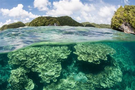 Coral Reef Surrounded By Islands Stock Image Image Of Climate