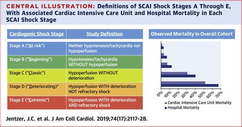 Cardiogenic Shock Classification To Predict Mortality In The Cardiac