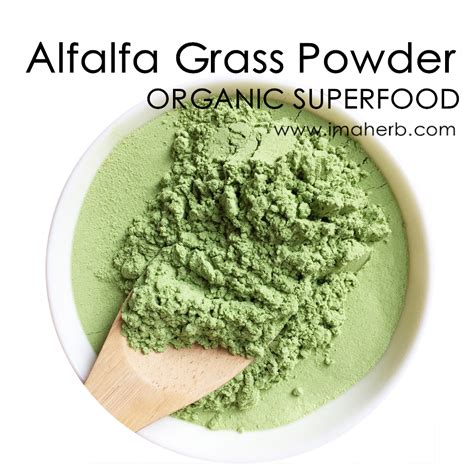 Alfalfa uses & potential benefits. Organic Alfalfa Powder